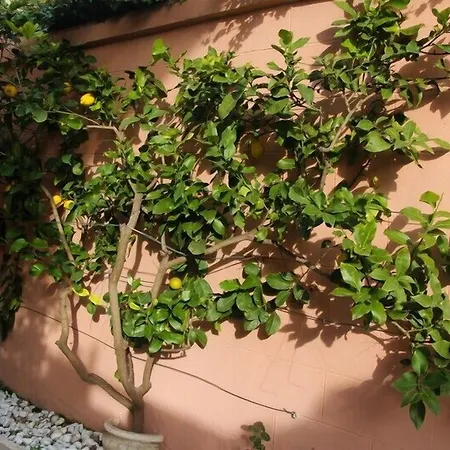 Stella Polare Lido di Ostia